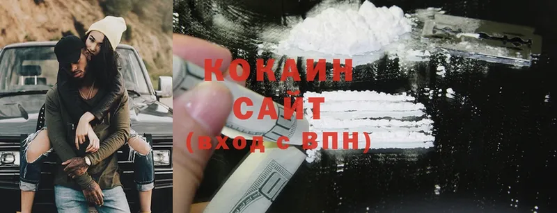 блэк спрут вход  Александровск-Сахалинский  Cocaine Fish Scale 